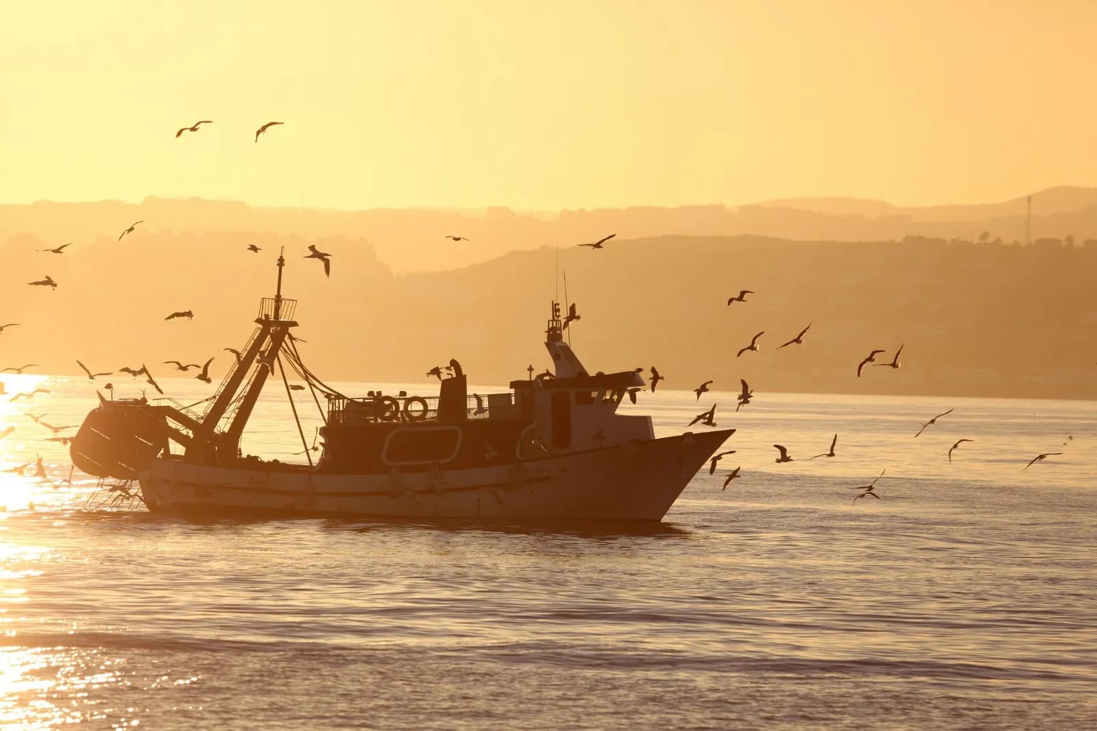 Los pescadores piden a la Comisión Europea retrasar la votación sobre zonas prohibidas para la pesca