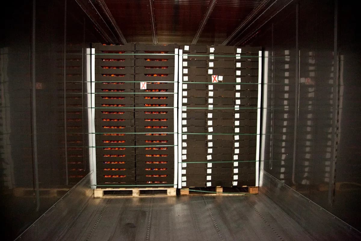 El Puerto de Bilbao presentará su oferta logística para el sector hortofrutícola en Fruit Logistica