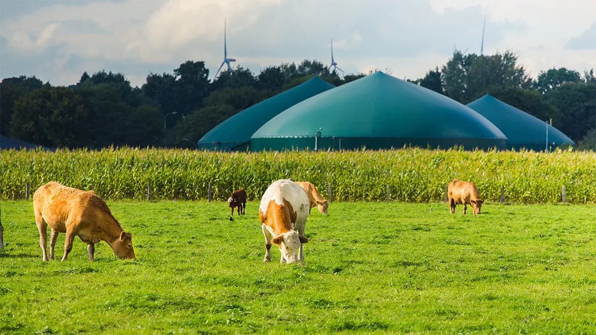 Cepsa desarrollará plantas de biometano a partir de residuos agrícolas y ganaderos