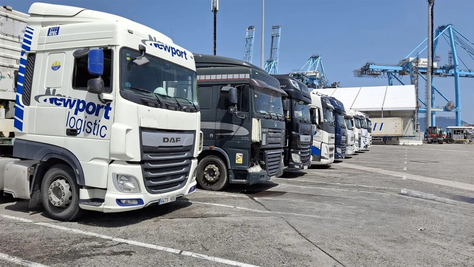 El Puerto de Algeciras estrena una aplicación para transportistas con información operativa en tiempo real