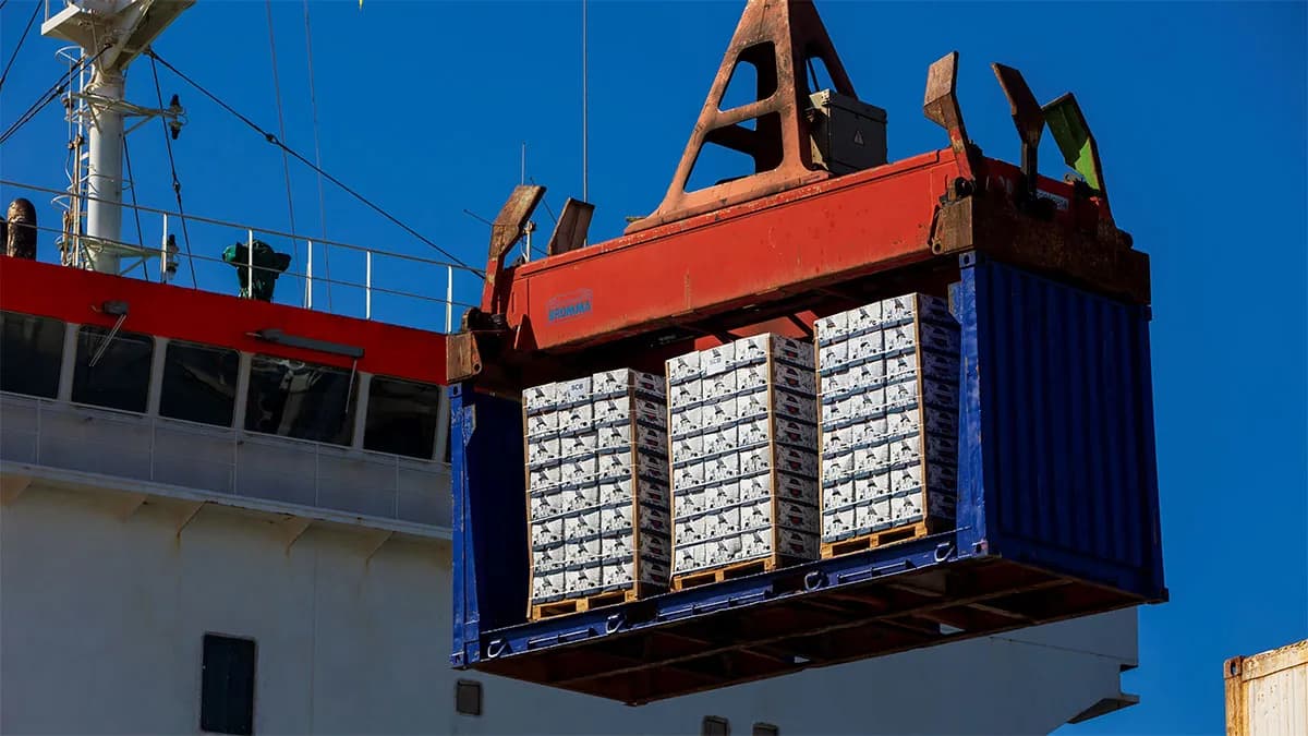 Los puertos españoles destacan su relevancia en el transporte de frutas y hortalizas a nivel internacional