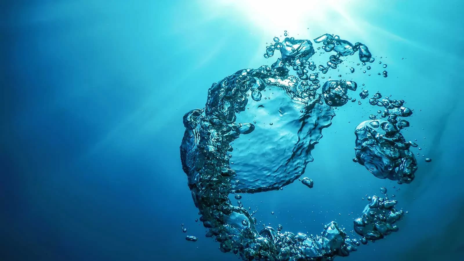 La APBA participa en un debate internacional sobre gobernanza oceánica con motivo del Día Mundial de los Océanos