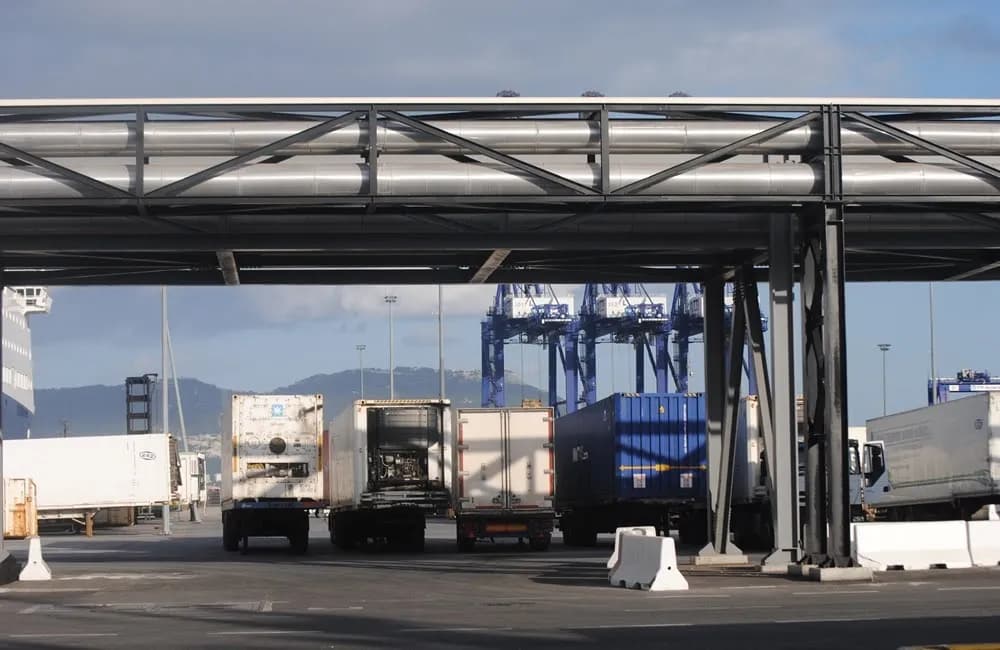 Sanidad concede una moratoria de dos meses al Puerto de Algeciras para aplicar la normativa sobre las importaciones de origen vegetal