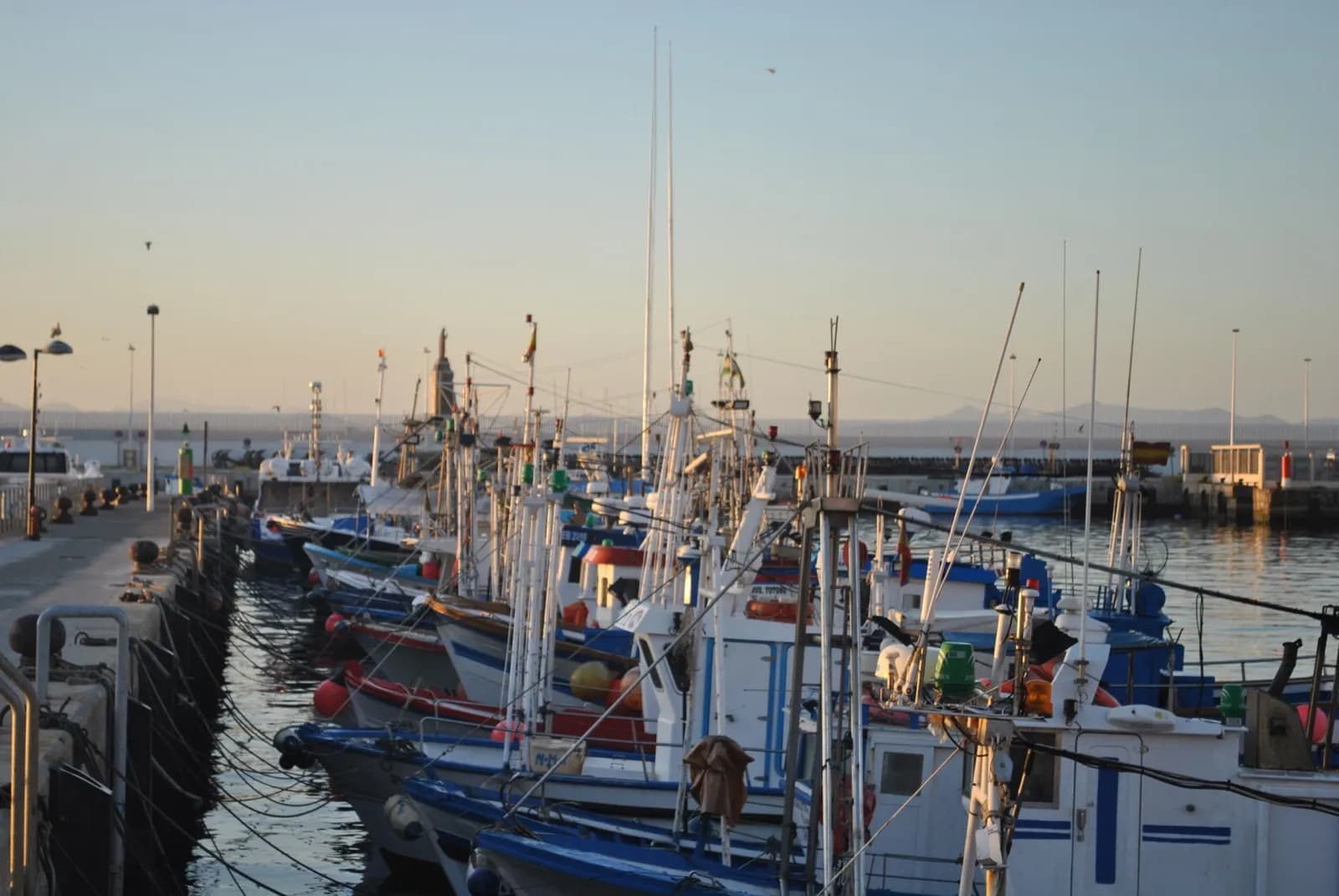 Abierta la convocatoria de ayudas por paradas obligatorias en el cerco de Cádiz y el palangre del Mediterráneo