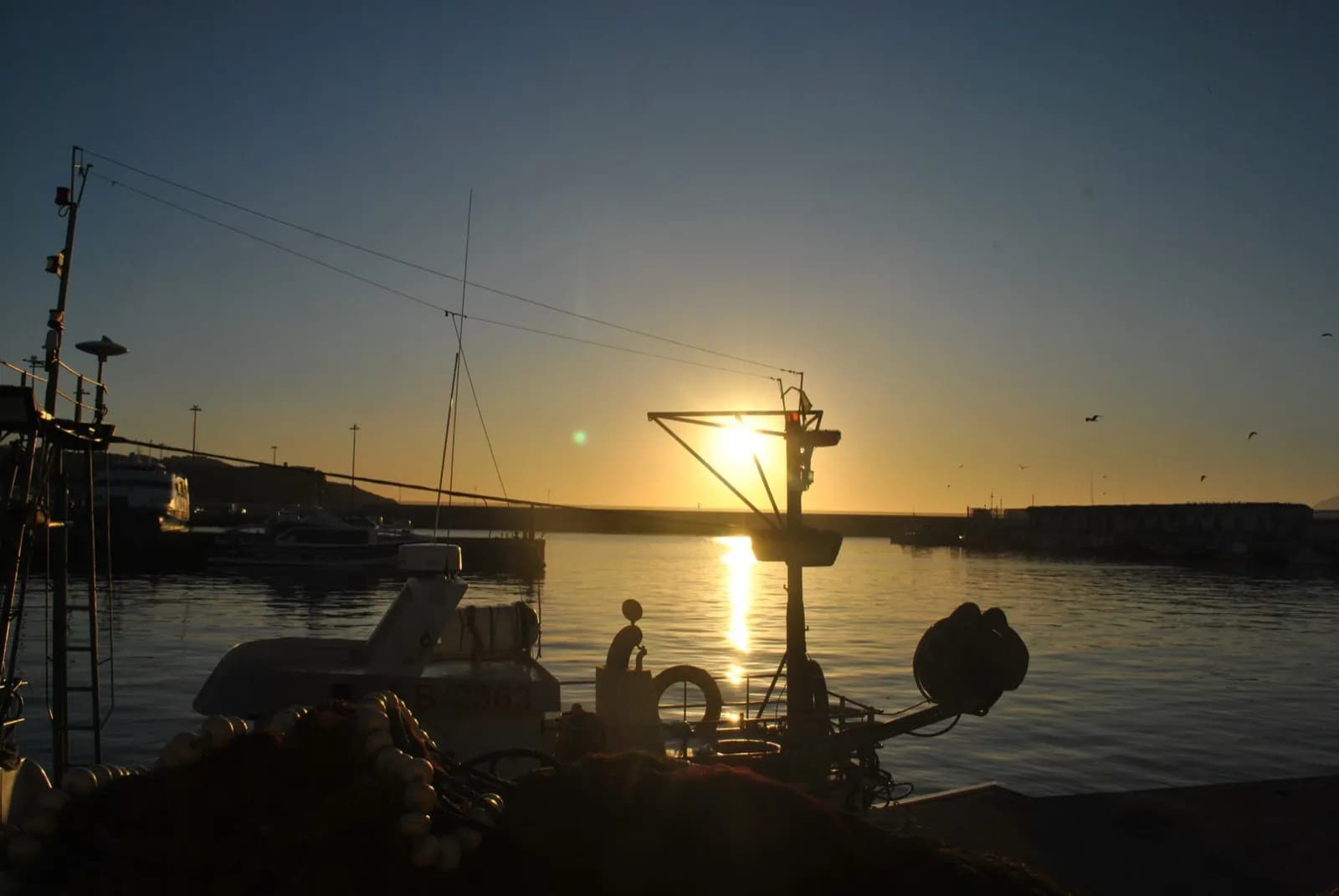 La Junta de Andalucía impulsará la pesca y la acuicultura sostenible