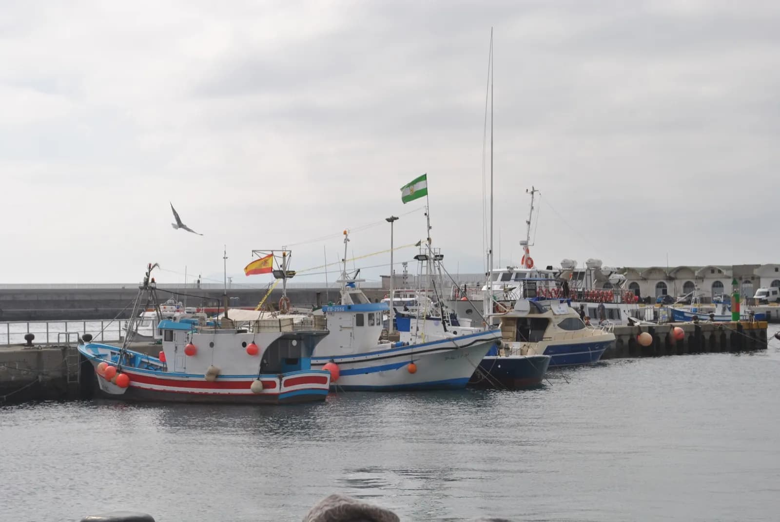 Los puertos pesqueros de La Línea y Tarifa podrían verse beneficiados por las ayudas de la Junta