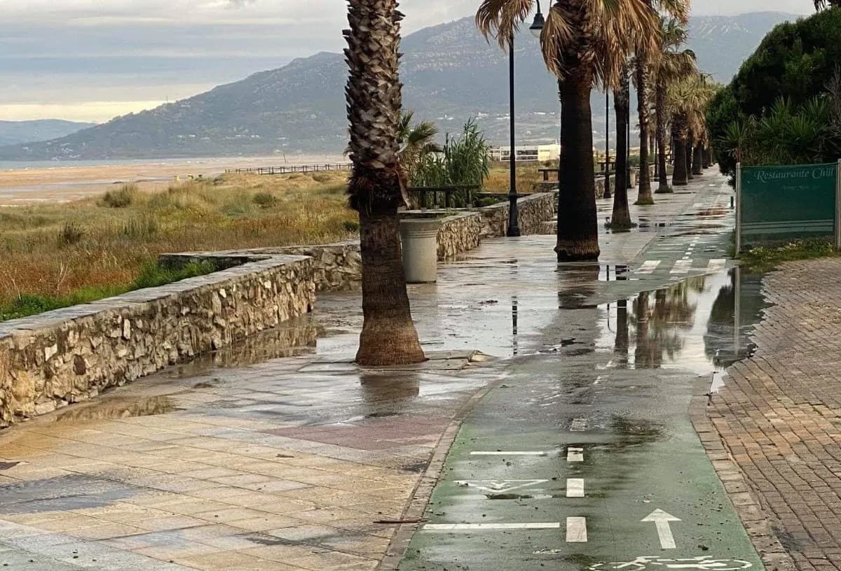 Verdemar Ecologistas en Acción pide el cierre de la playa de los Lances en Tarifa por un nuevo vertido