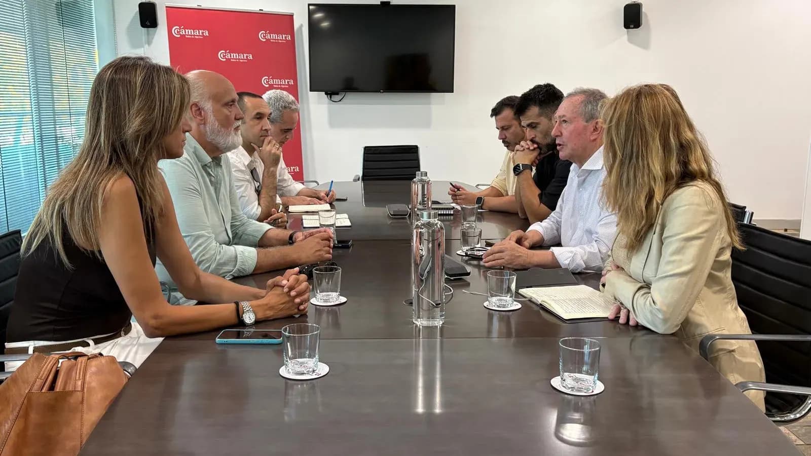 Diputación y AGI analizan nuevas vías de cooperación energética en el Campo de Gibraltar