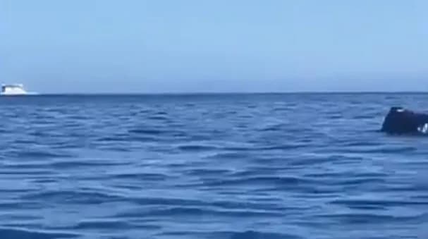 Fred. Olsen Express ha reforzado su protocolo de revisión de estacionamiento en los garajes de los barcos