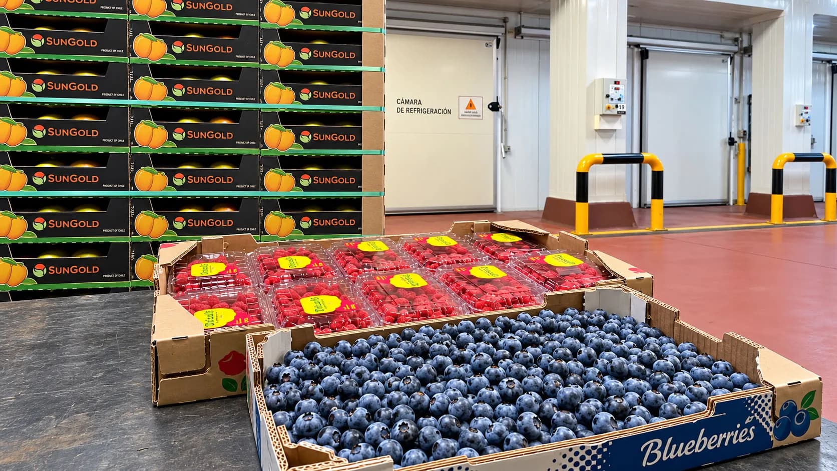 Latinoamérica y Algeciras, el eje reefer de UCC Iberia en Fruit Attraction 2026