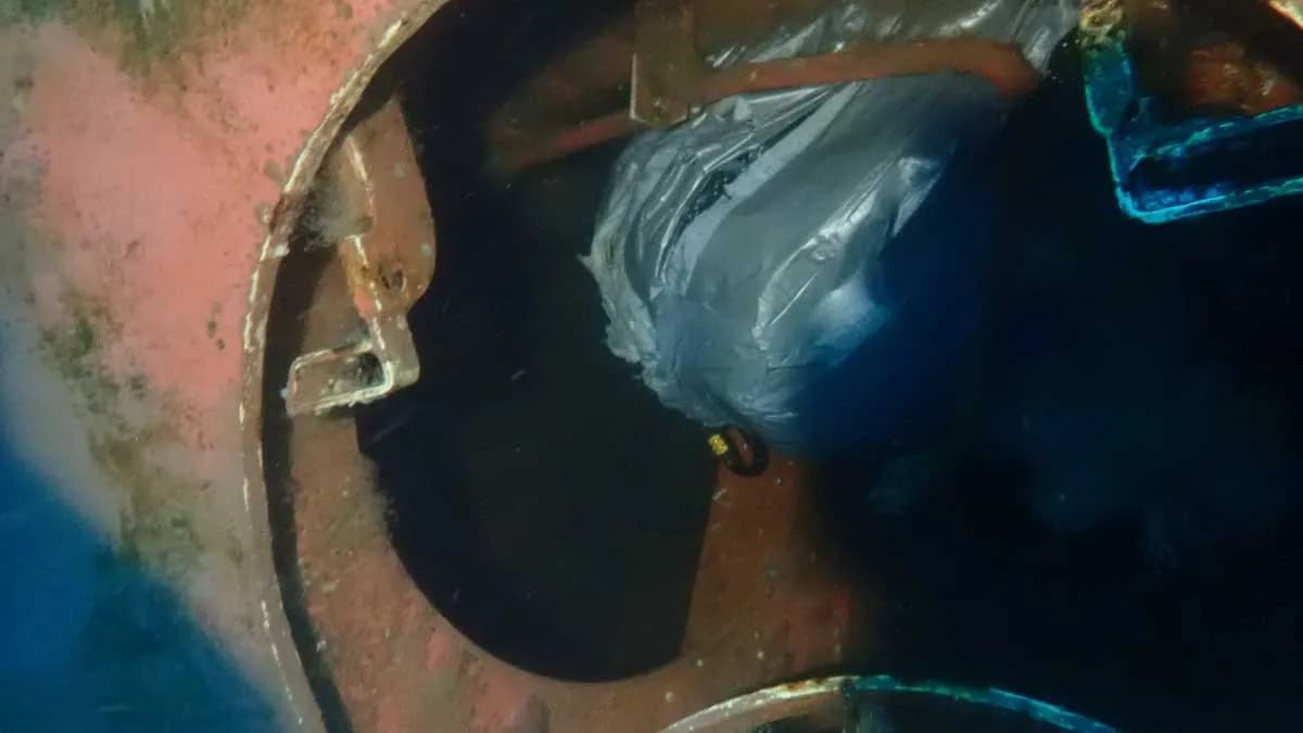 El Servicio de Aduanas de Gibraltar incauta 55 kilos de cocaína en el granelero “Star Majesty”