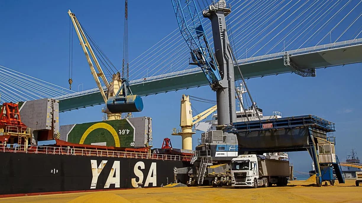 El Puerto de la Bahía de Cádiz aumenta un 9,3% su tráfico total hasta mayo