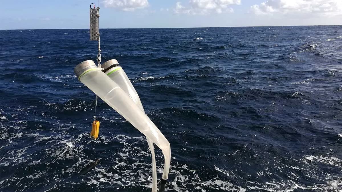 Comienza la campaña oceanográfica CAREVA 0325 para evaluar la biomasa de caballa en el Cantábrico y Golfo de Vizcaya