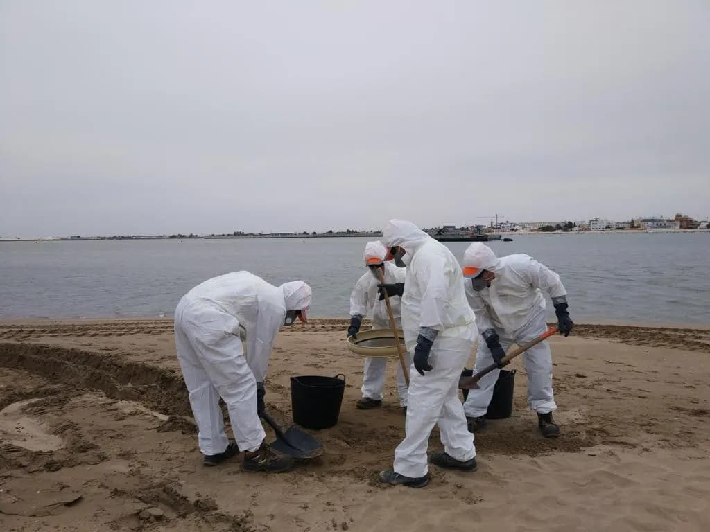 Simulacro contra la contaminación marina accidental