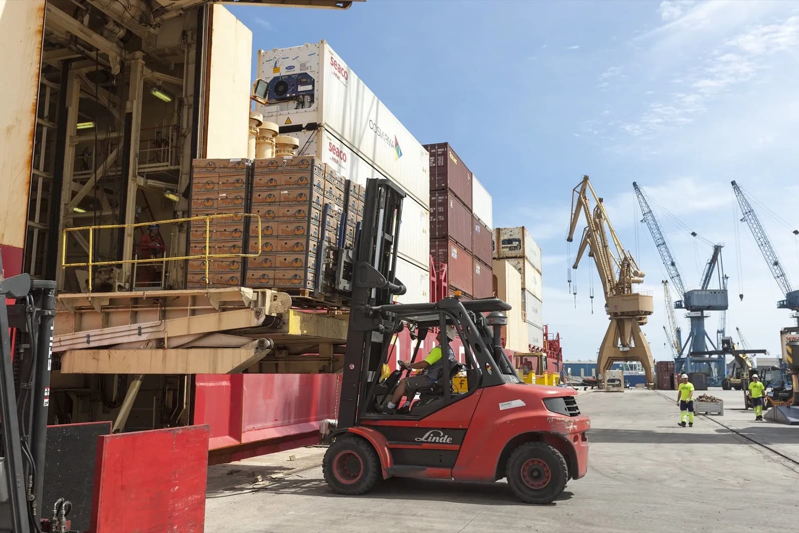 España, puerta de entrada de las importaciones de frutas procedentes de terceros países