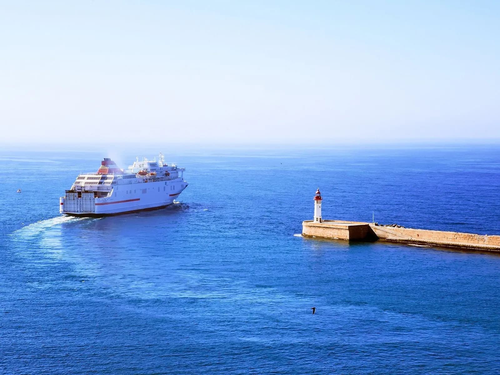 Más de 50.000 viajeros han pasado por el Puerto de Almería en las tres primeras semanas de la OPE