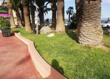 El Puerto de Ceuta adjudica a Urbaser el servicio de mantenimiento de las zonas ajardinadas de la Autoridad Portuaria