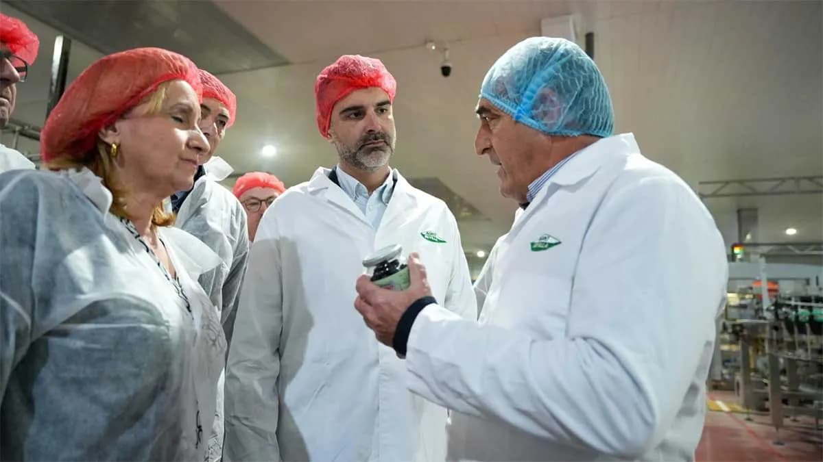 Andalucía lidera la exportación mundial de aceituna de mesa con 702,7 millones de euros en ventas internacionales
