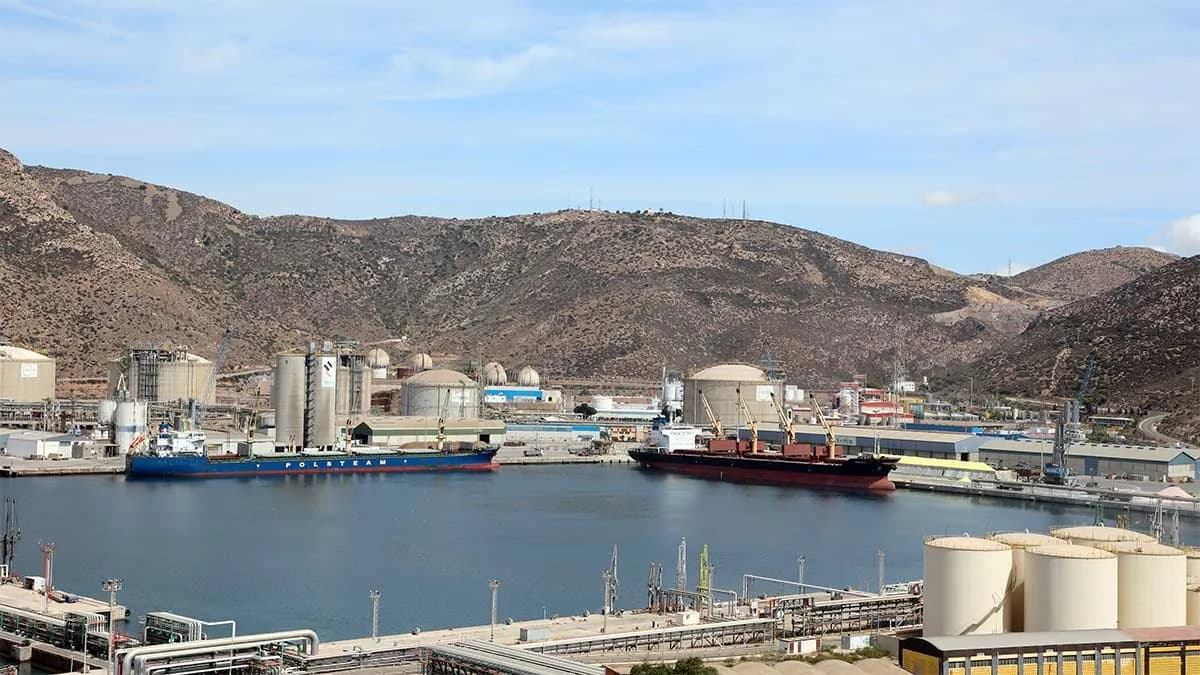 El Puerto de Cartagena cierra 2024 con 35,6 millones de toneladas movidas, su tercer mejor año histórico