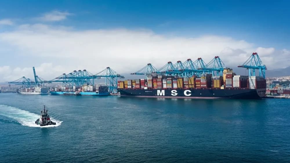 Las principales navieras de contenedores introducirán un «Recargo de emisiones» en consonancia con el EU ETS