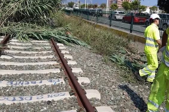 La Autoridad Portuaria de Castellón inicia un plan de limpieza de las antiguas vías del tren en el Serradal