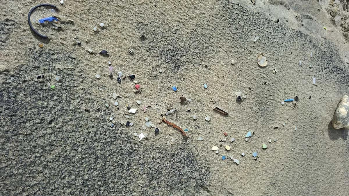 Un estudio liderado por la Universidad de Cádiz evalúa el riesgo químico de los pellets plásticos vertidos en Galicia