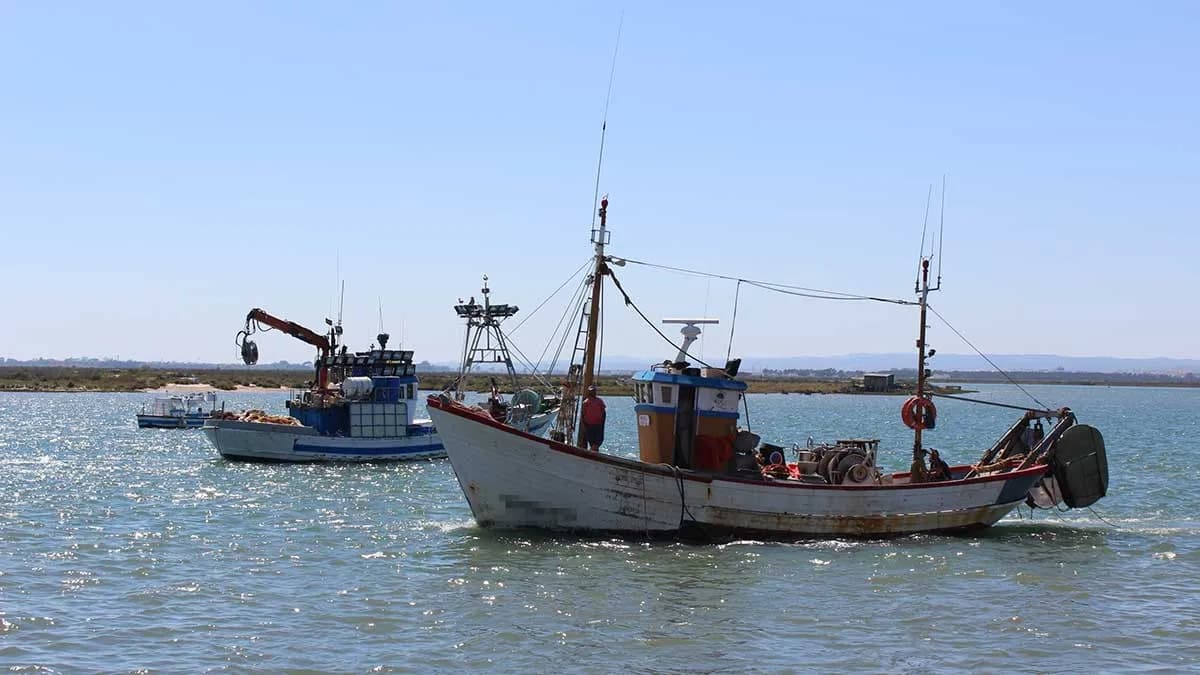 La Junta de Andalucía convoca nuevas ayudas por la paralización temporal de la actividad pesquera