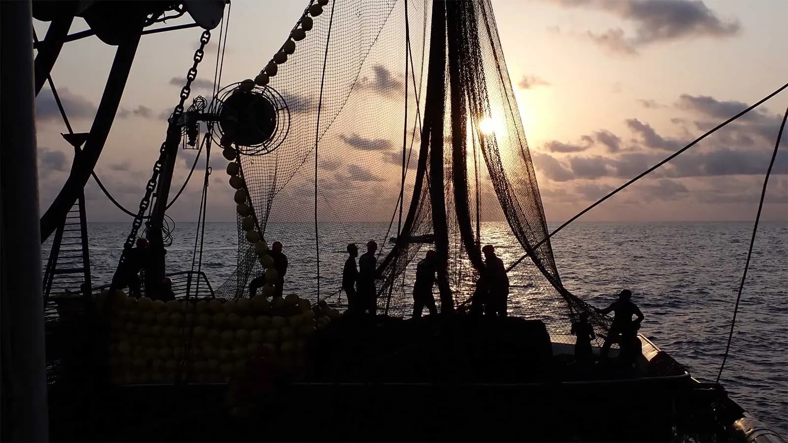 El IEO participa en el primer informe europeo sobre la sostenibilidad social de la pesca