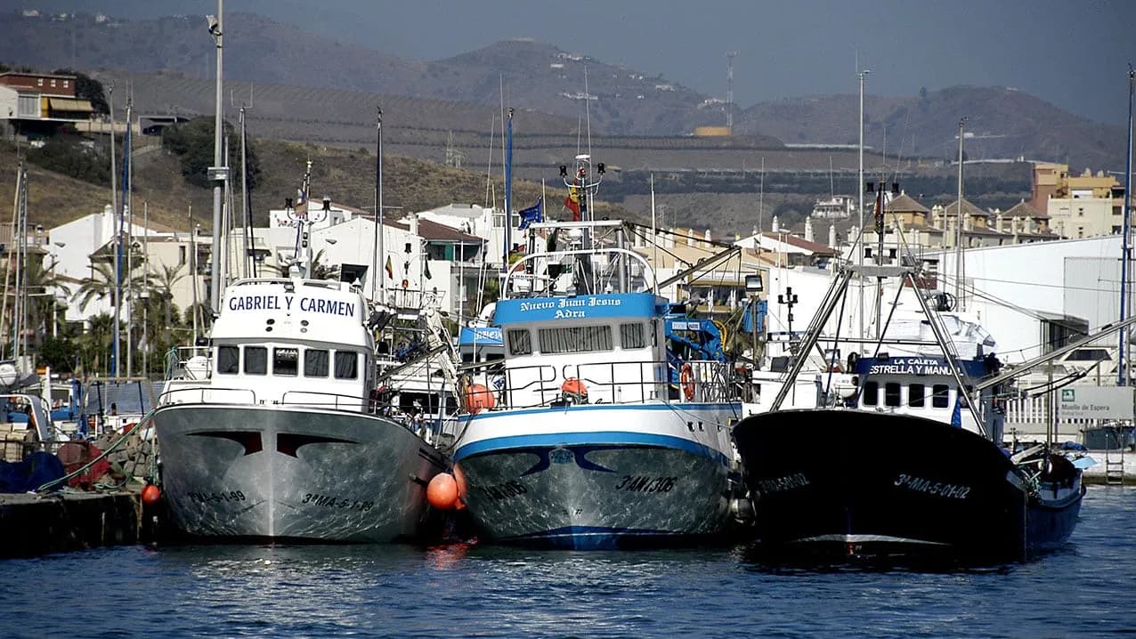 Málaga acogerá la 48ª sesión anual de la Comisión General de Pesca del Mediterráneo