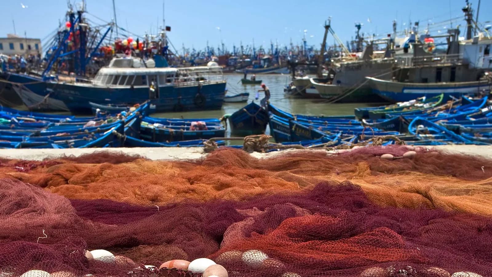 El Ministerio de Agricultura, Pesca y Alimentación convoca subvenciones para entidades asociativas del sector pesquero