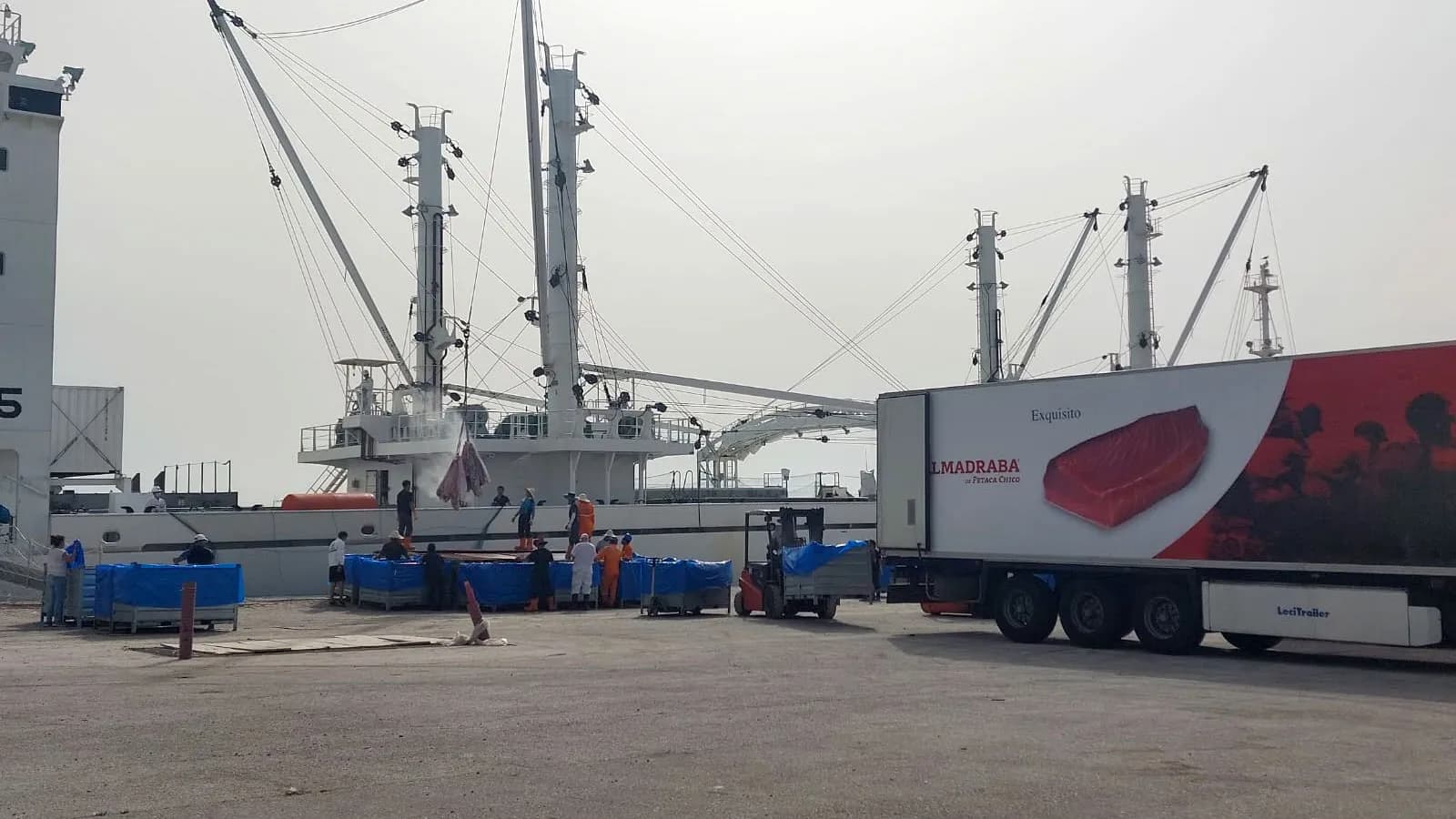 Petaca Chico descarga 400 toneladas de atún rojo en la Zona Franca de Cádiz