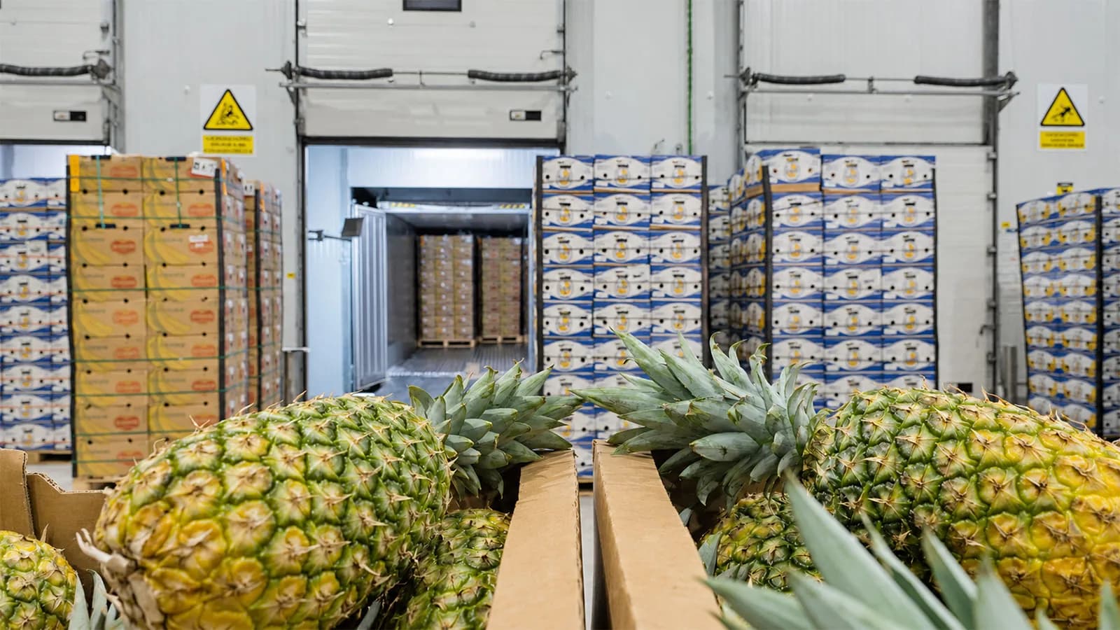 Americold conecta el Muelle de Isla Verde con la cadena de frío hortofrutícola