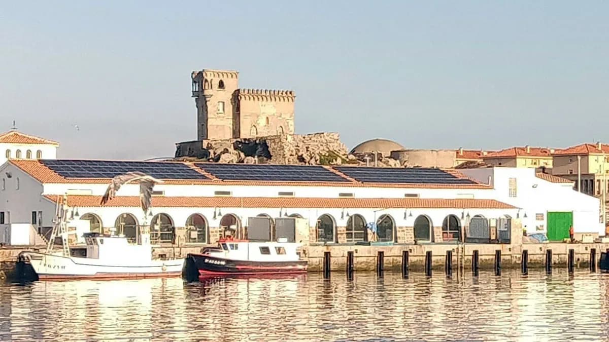 La Lonja de Tarifa se convierte en la primera de Andalucía en abastecerse de energía solar