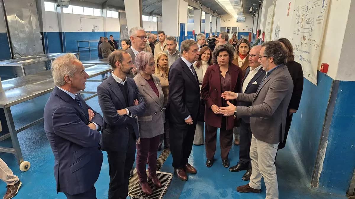La flota del Golfo de Cádiz podrá pescar más sardina y boquerón en 2025