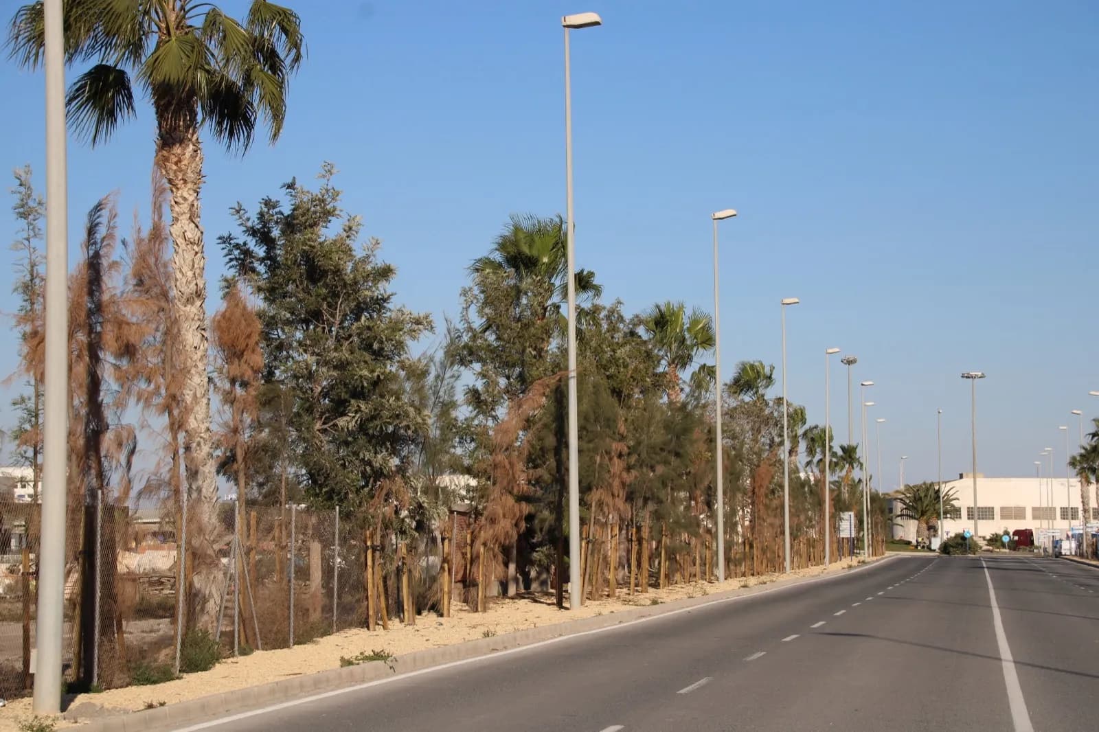 El Puerto de Alicante avanza en su compromiso con el medio ambiente