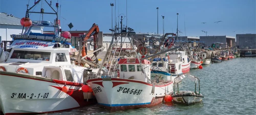 Barbate acoge la segunda Jornada de Pesca Artesanal y la primera Semana Gastronómica del Pescado