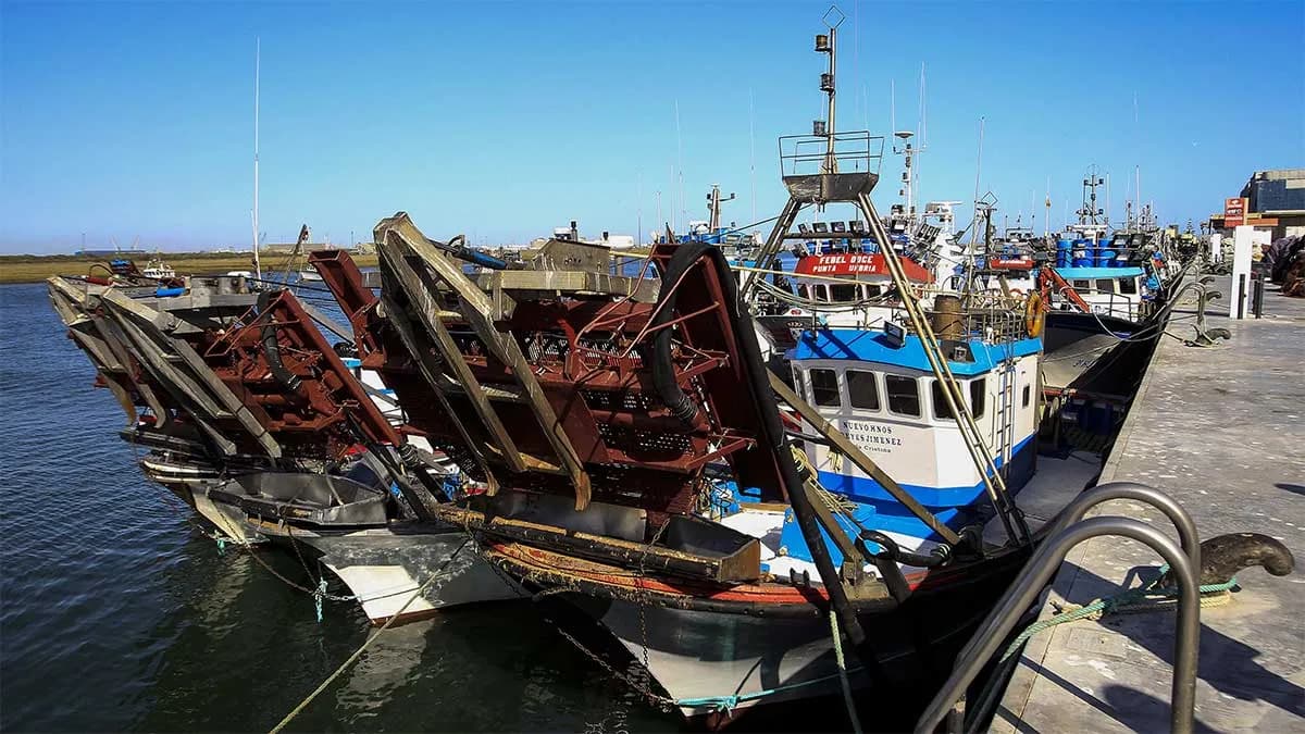 La Junta de Andalucía destina cerca de 300.000 euros a la mejora del muro norte del puerto de Punta Umbría