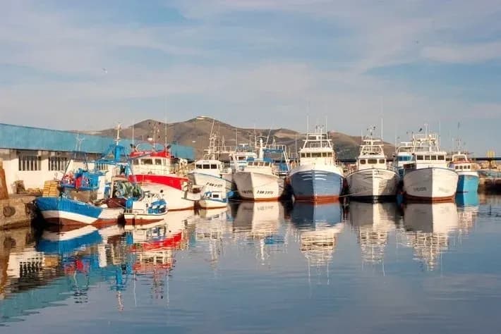 La Faape critica la exclusión de Almería y Granada en las ayudas pesqueras por borrascas