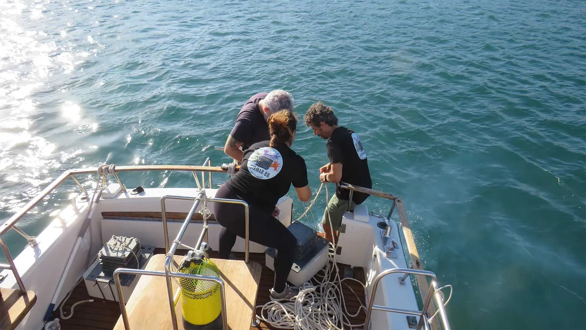 ThinkInAzul Andalucía finaliza su programa con una red de más de 500 investigadores en ciencias marinas
