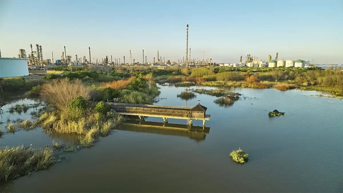 Moeve reduce un 21% la captación de agua dulce en sus parques industriales en España respecto a 2019