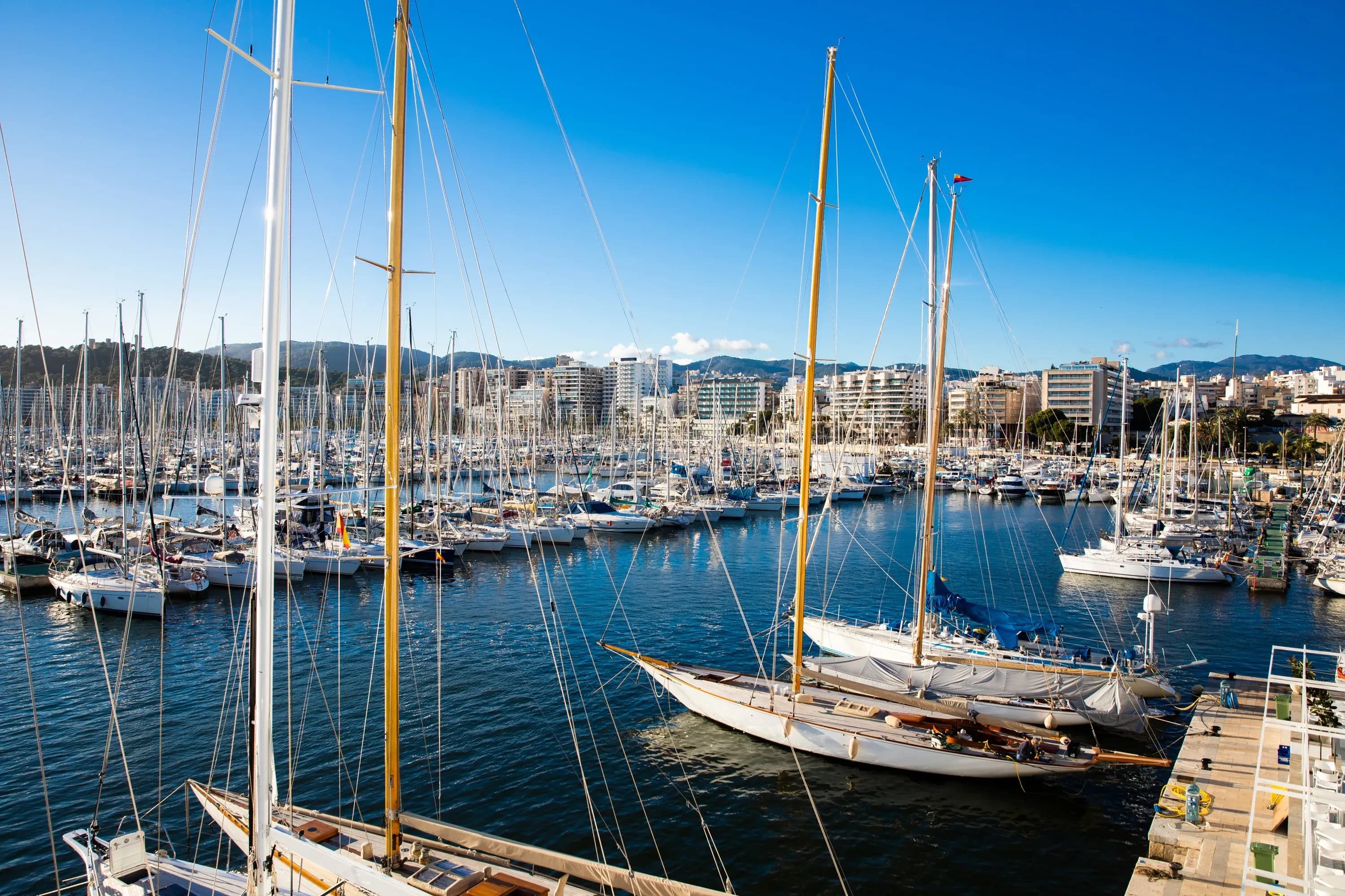 La Autoridad Portuaria de Baleares blinda el futuro del Real Club Náutico de Palma