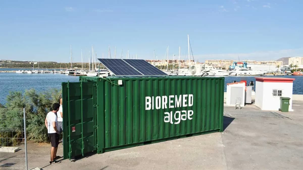 El Puerto de Alicante y Mediterranean Algae completan el piloto de regeneración marina Bioremed Algae