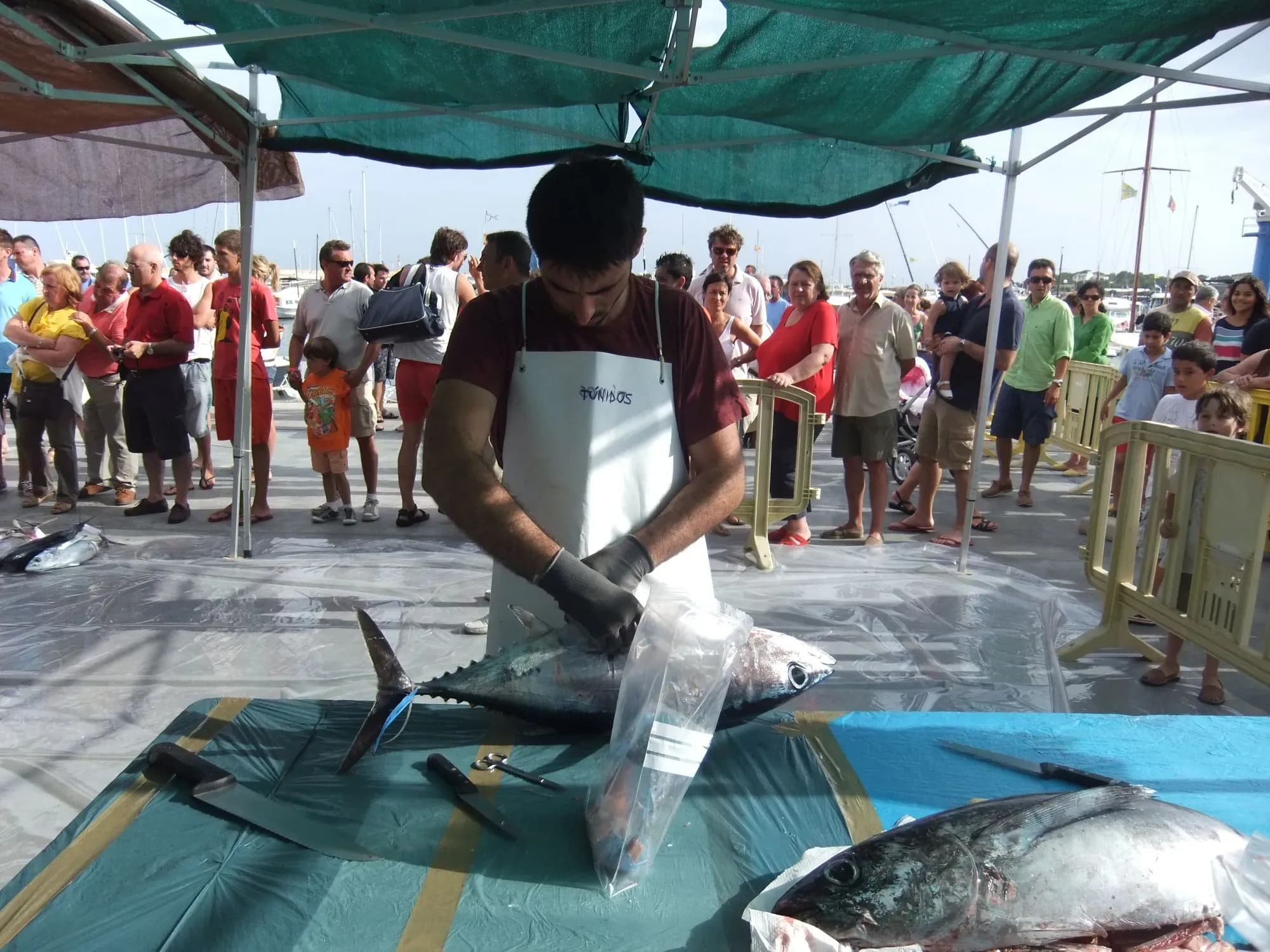 Un estudio revela el valor científico de los torneos de pesca recreativa para evaluar el estado del atún blanco en el Mediterráneo