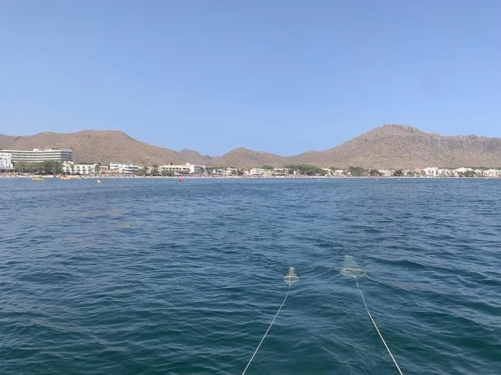 El IEO-CSIC impulsa desde Baleares los proyectos MIRAMAR y MedPROACT para mitigar el impacto ambiental en el Mediterráneo