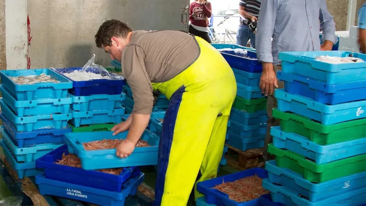 La APPA adjudica por más de medio millón de euros las obras de mejora de la lonja del puerto de Ayamonte