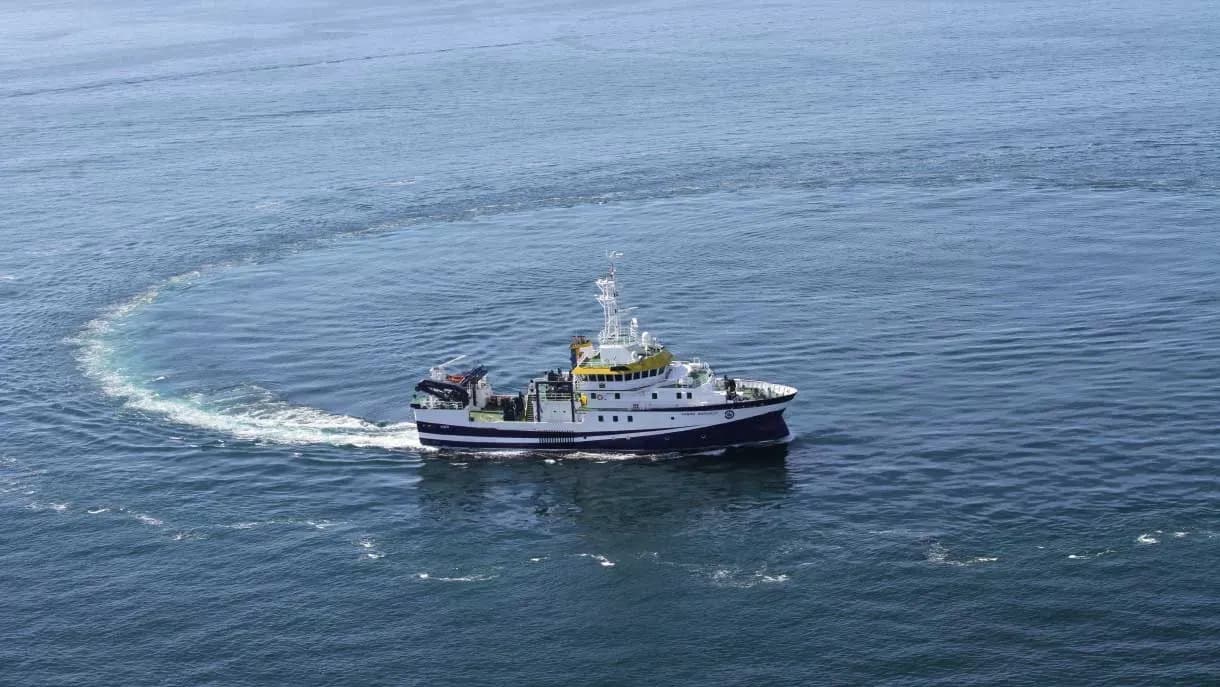 El IEO-CSIC finaliza una nueva campaña para evaluar la biomasa de sardina y boquerón en el golfo de Cádiz