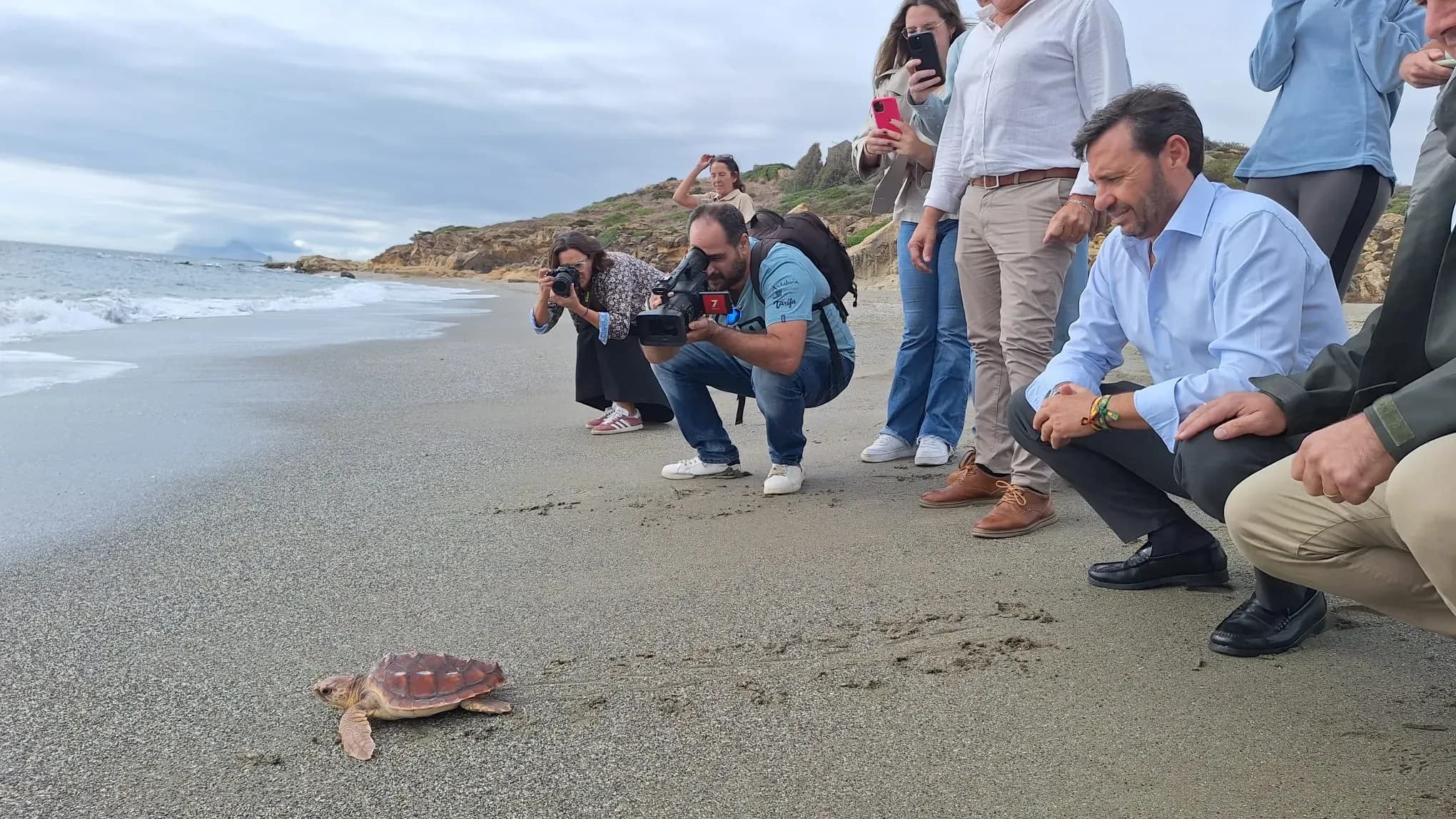 Liberan en Cala Sardina una tortuga boba recuperada en el CEGMA de Algeciras