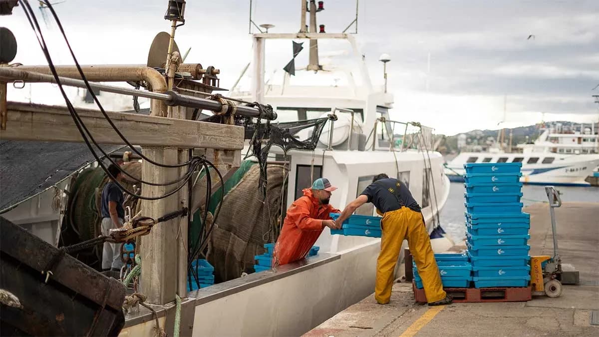 Palamós reunirá al sector pesquero mediterráneo en la primera Jornada OPP91 sobre sostenibilidad e innovación
