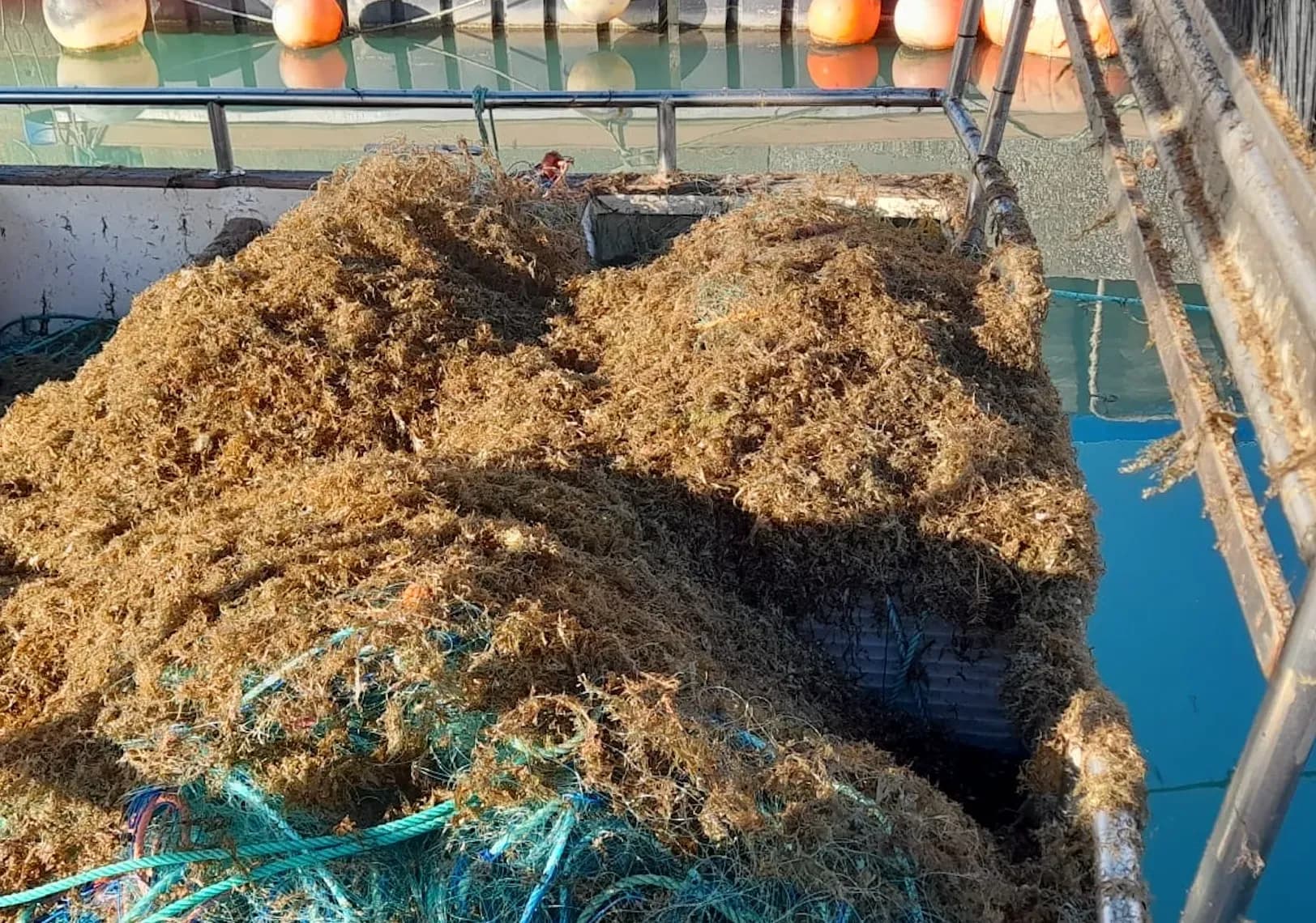 La pesca artesanal de Conil pierde casi el 50 % de su producción en una década