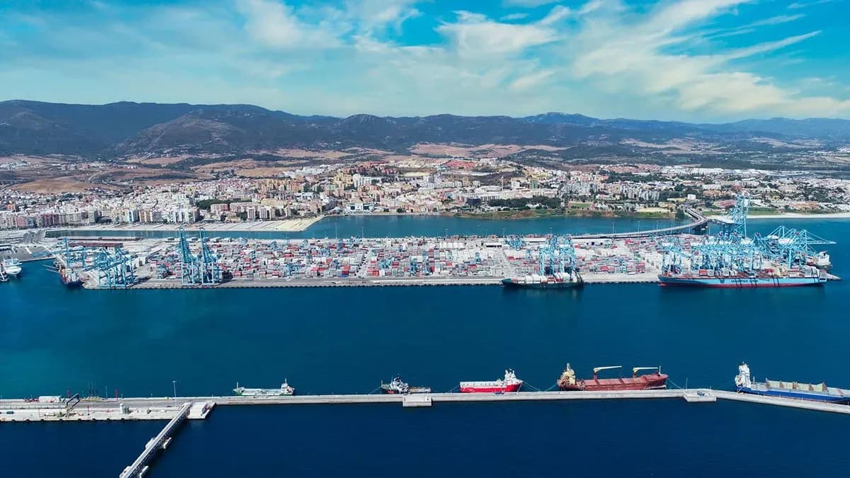 Colectivos del Campo de Gibraltar protestan contra la escala en Algeciras de buques de Maersk vinculados a material militar con destino a Israel